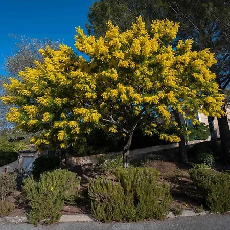 A081-cannes Avec Terrasse Au Calme Сasa de vacaciones *