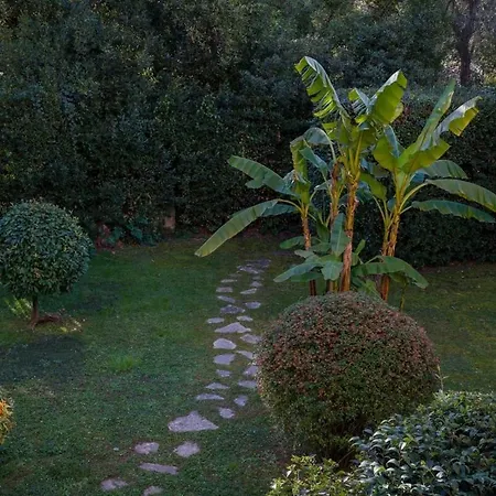 A081-cannes Avec Terrasse Au Calme *