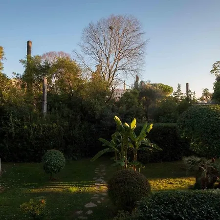 A081-cannes Avec Terrasse Au Calme كان